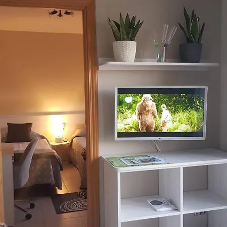 公寓 Apartamento Con Parking Vista Pirineo 特林普